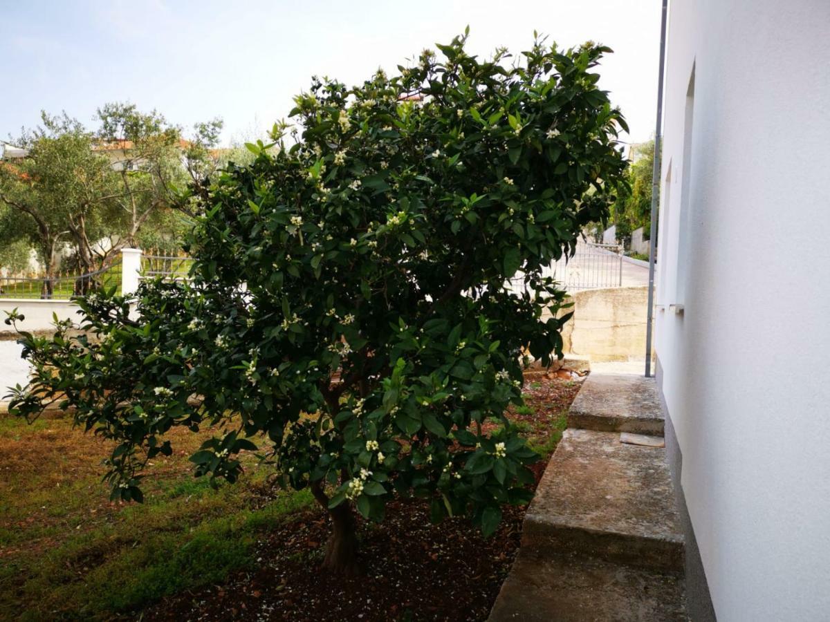 Apartment Katarina Trogir Exteriér fotografie